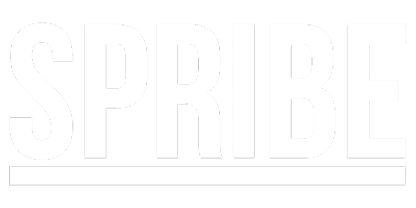 Visa partner logo